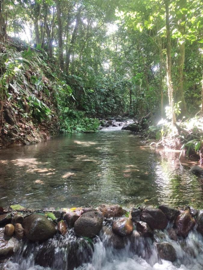 La Fortuna Natural Green Exteriér fotografie