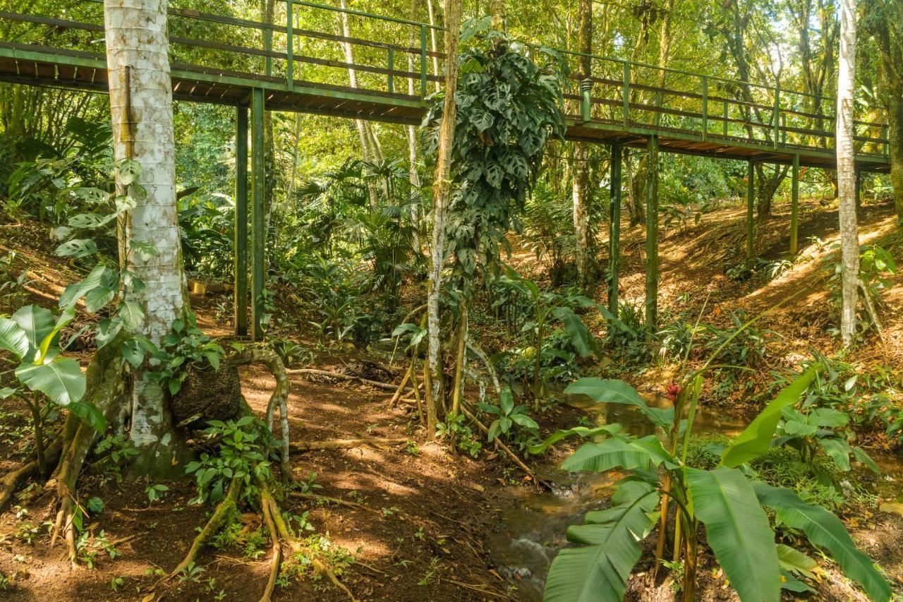 La Fortuna Natural Green Exteriér fotografie