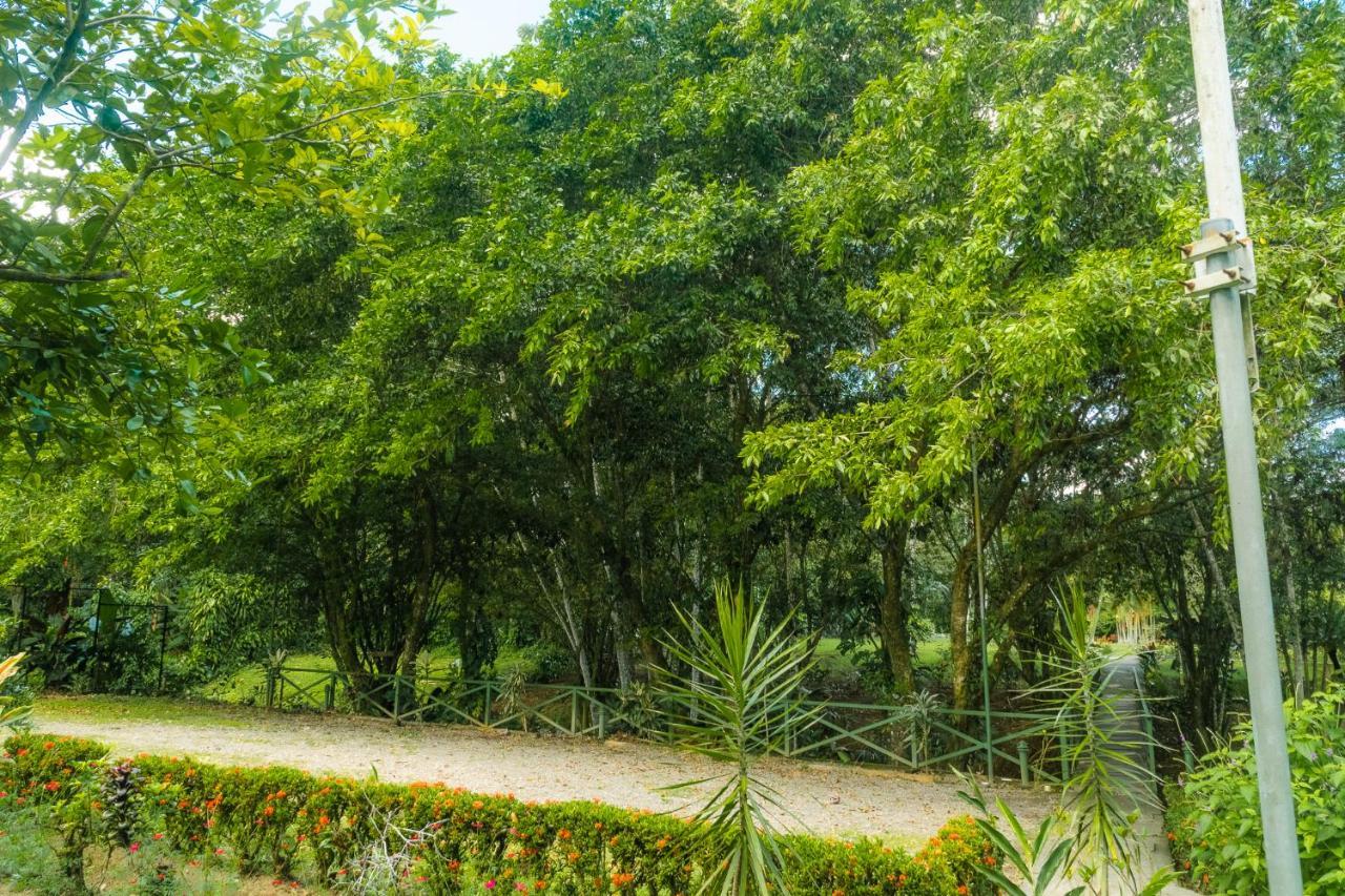 La Fortuna Natural Green Exteriér fotografie